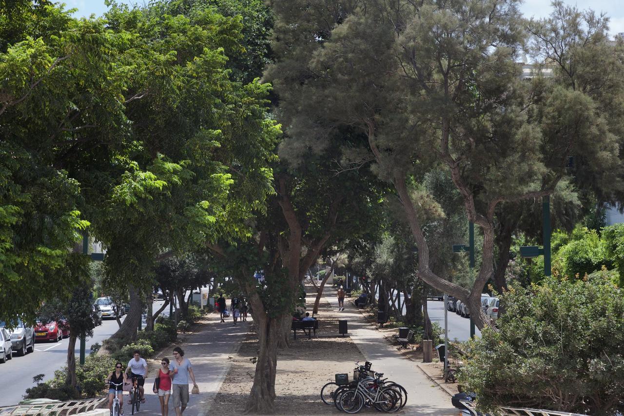 Tlv Living Apartment 텔아비브 외부 사진