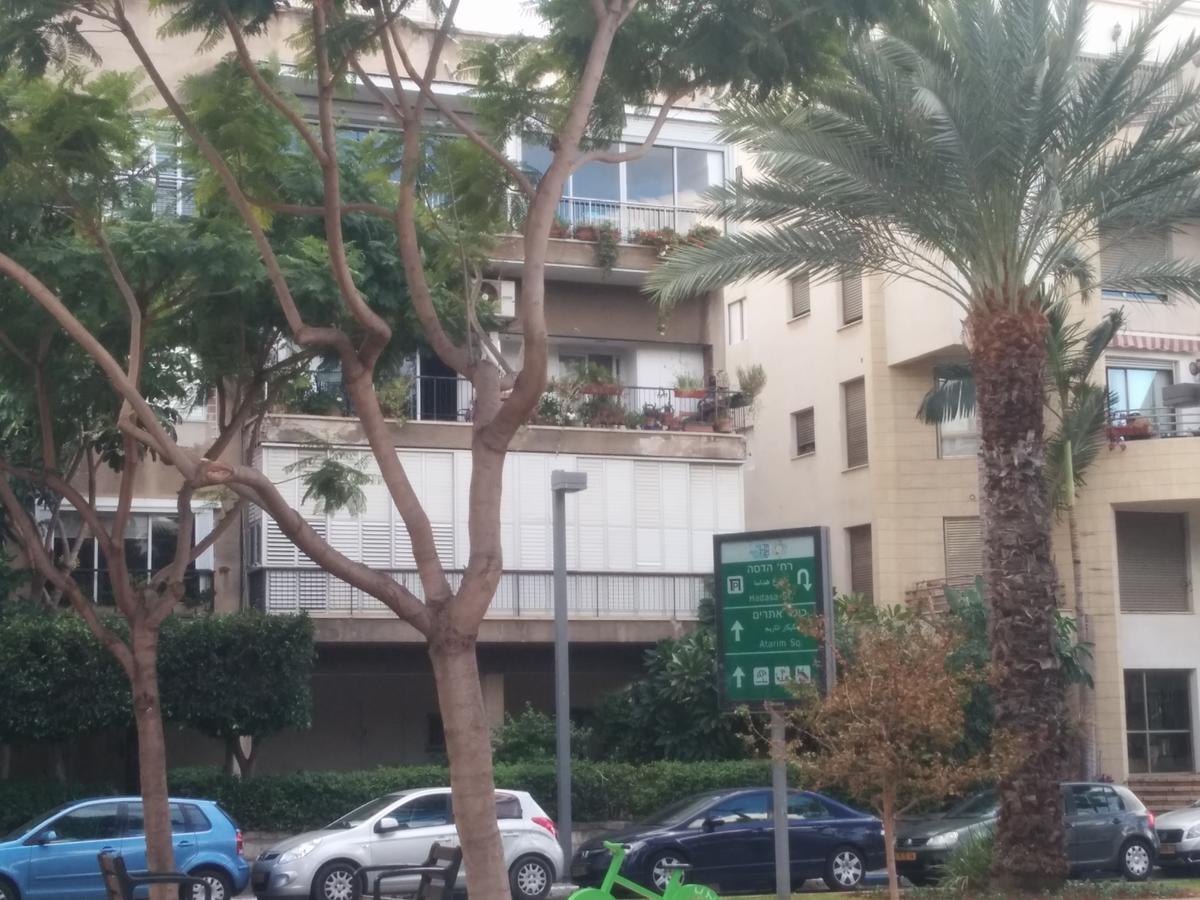 Tlv Living Apartment 텔아비브 외부 사진